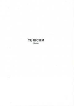 Turicum 