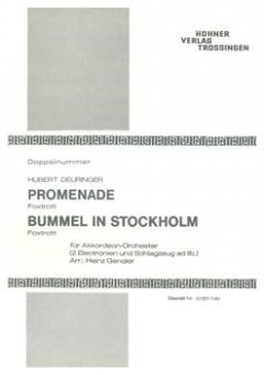 Bummel in Stockholm/Promenade 